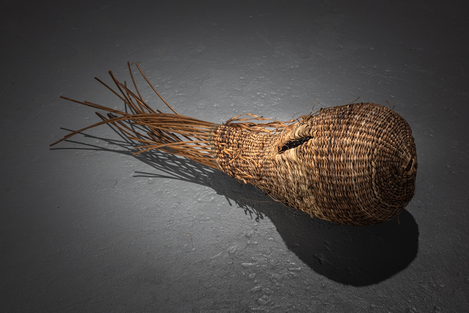 A Journey in Contemporary Basketry